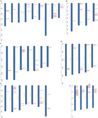 Comparative analysis of the JRL gene family in the whole-genome of five gramineous plants